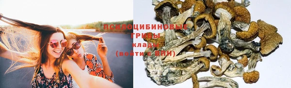 ешки Балахна