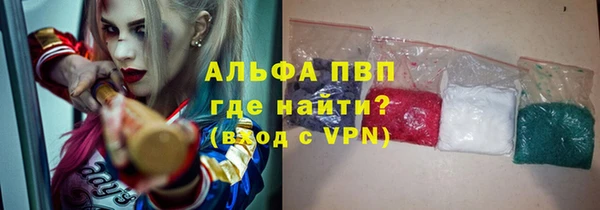 стафф Баксан