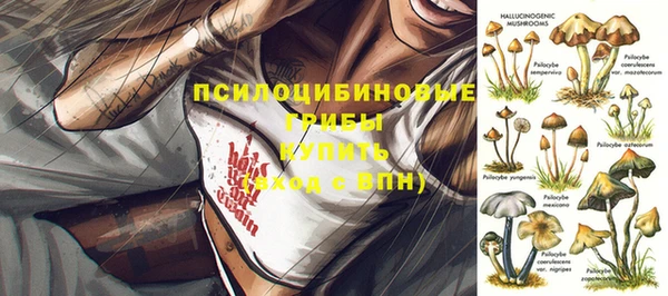 ешки Балахна