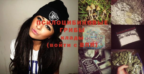 стафф Баксан